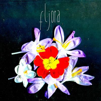 Fljora - fljora