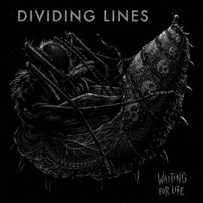 Dividing Lines - Waiting for Life