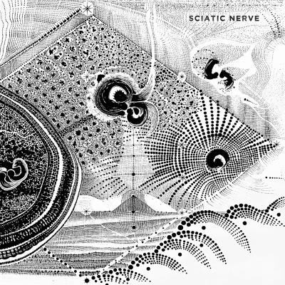 Sciatic Nerve - Sciatic Nerve